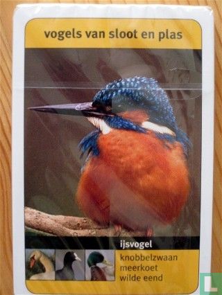 Vogels