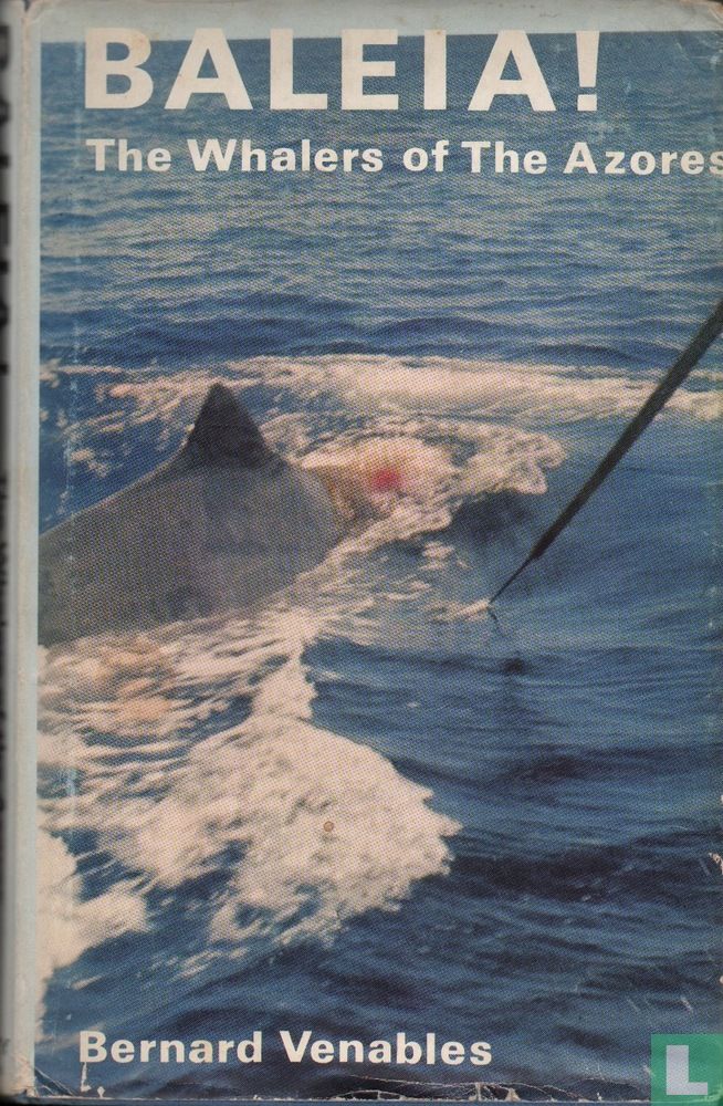 Baleia!
