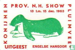 konijn: Engelse Hangoor