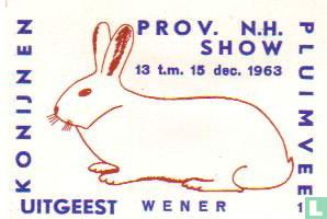 konijn: Wener