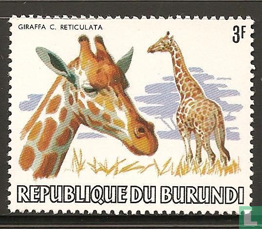 Animaux