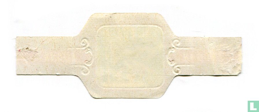 [Tweebands-koraalvis]