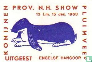 konijn: Engelse Hangoor
