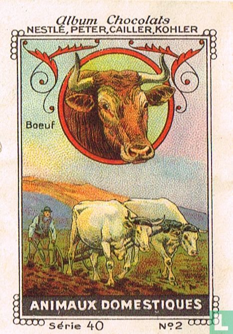 Boeuf