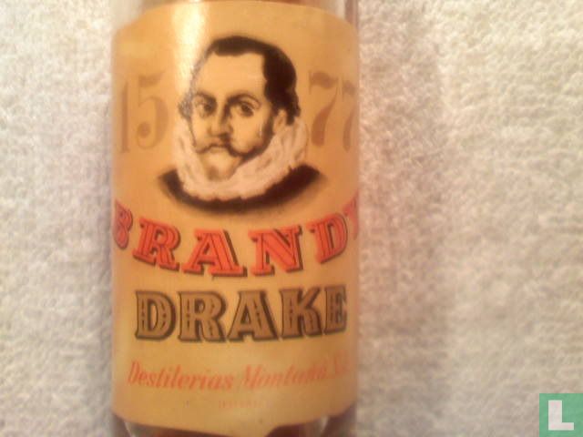 Brandy Drake
