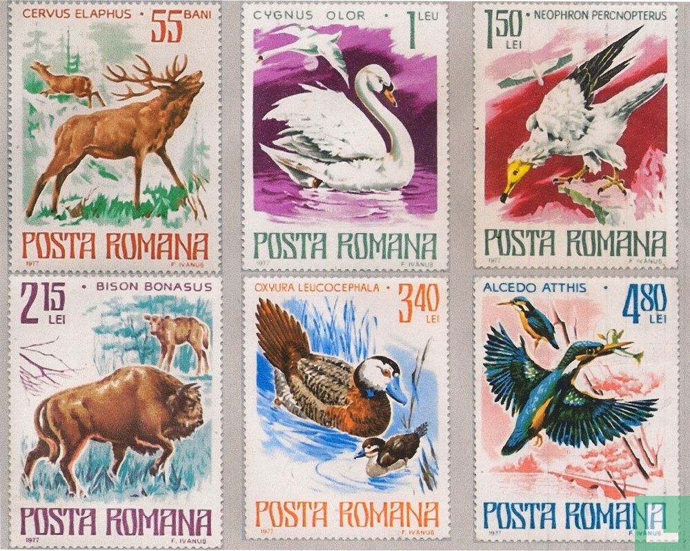 Animaux protégés