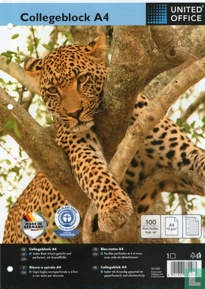 Cheetah in tree