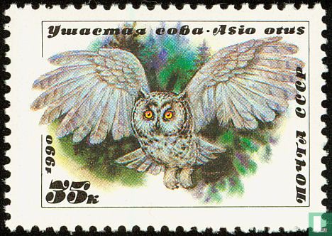 Owls