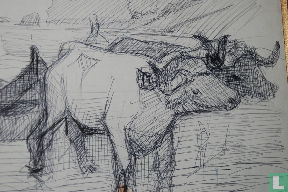 Oxen pulling a boat