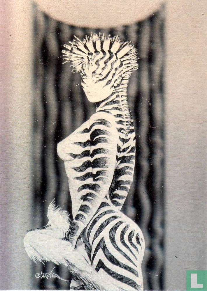 Zebra Lady III