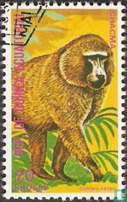 Monkeys