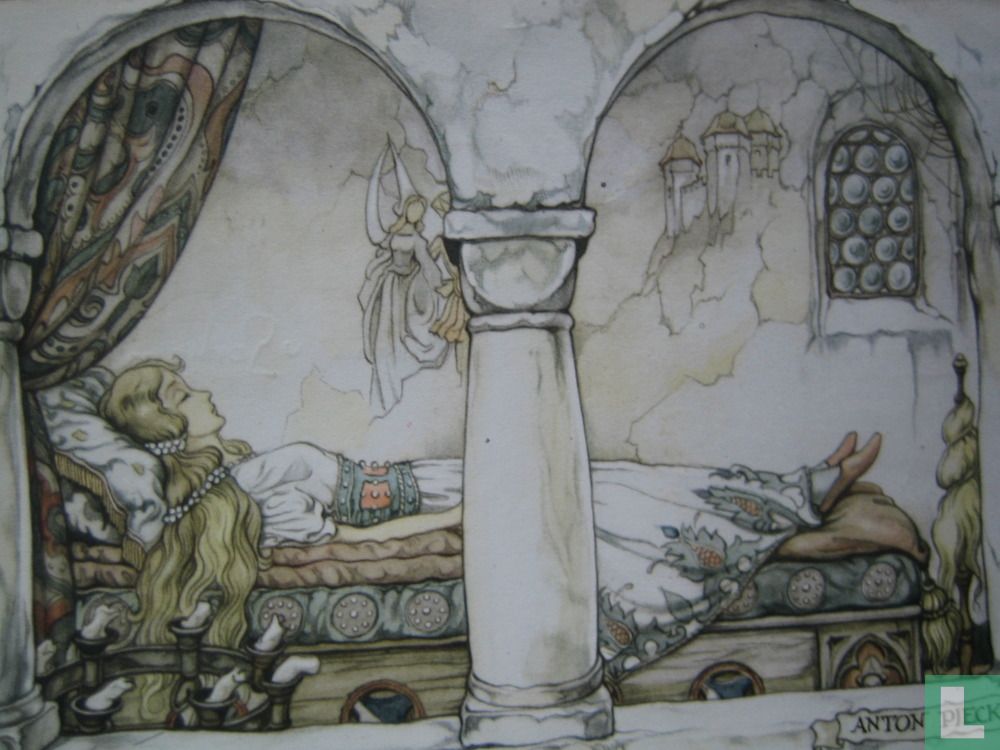 De schone slaapster