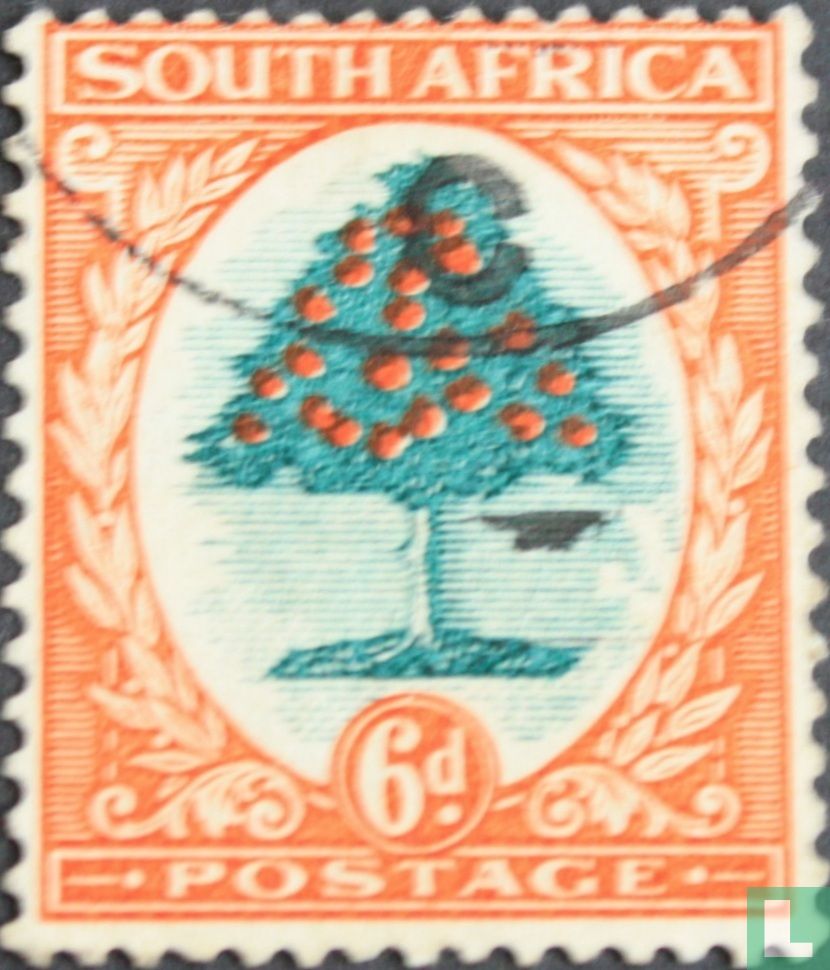 Orange Tree (anglais)
