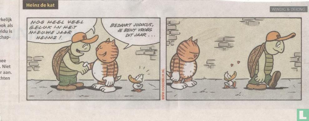 Heinz the cat