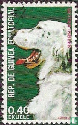 Honden
