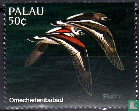 Einheimische Vögel