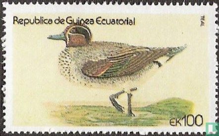 Canard