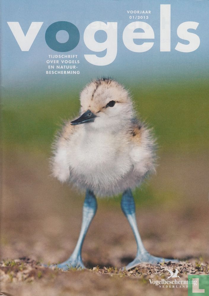 Vogels 1 Voorjaar
