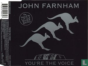 You're the Voice