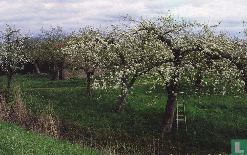 Oude Zuiderlingedijk