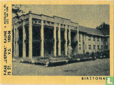 Stadsgezicht Birstonas