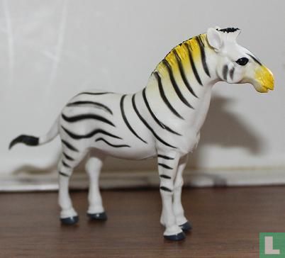Zebra