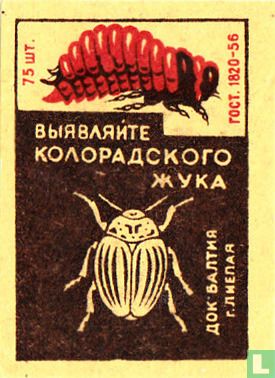 Bbl?BA?NTE KO?OPA?CKO?O ?YKA -  "koloradokever"