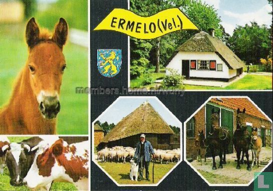 Ermelo (Vel.)