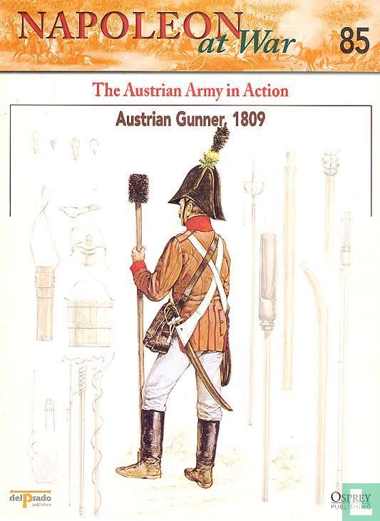 The austrian army in action