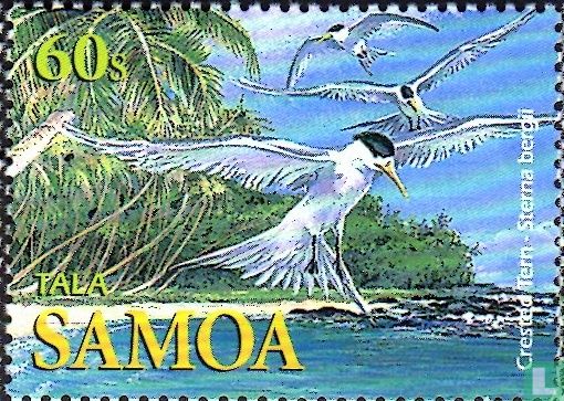Birds 
