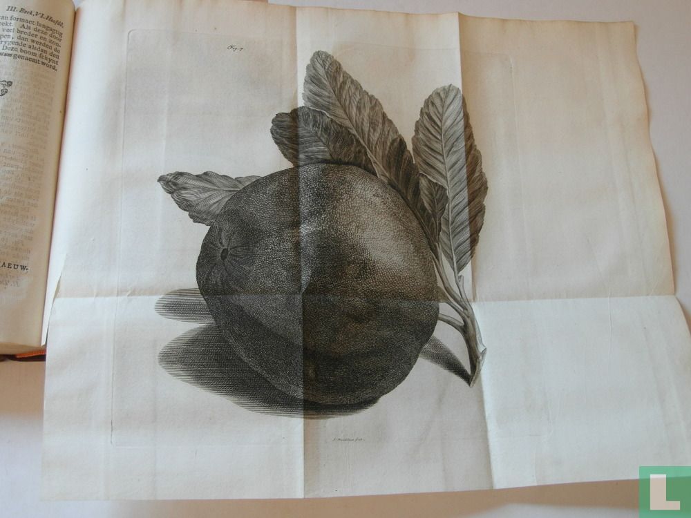 Landhuizen, lusthoven, plantagien