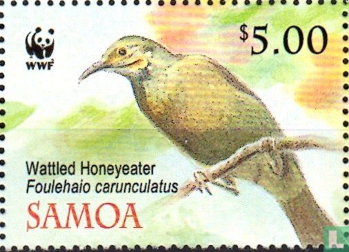 WWF - oiseaux 