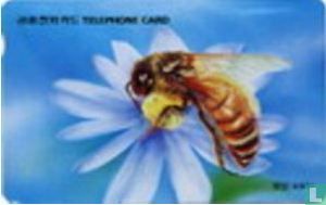 Honeybee