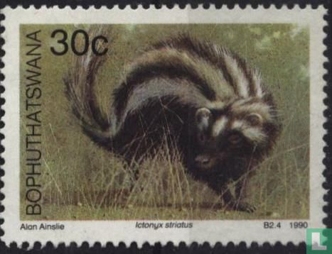 Small mammals