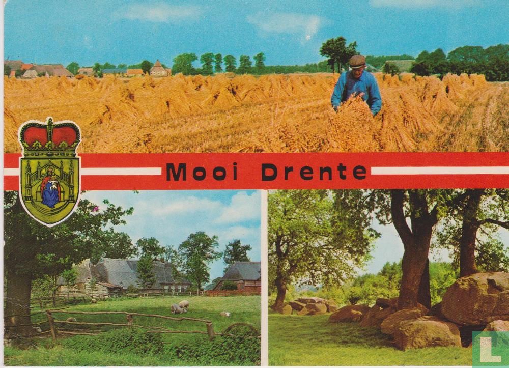 Mooi Drente