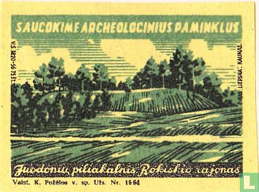 Juodoniu piliakalnis Rokiskiu rajonas