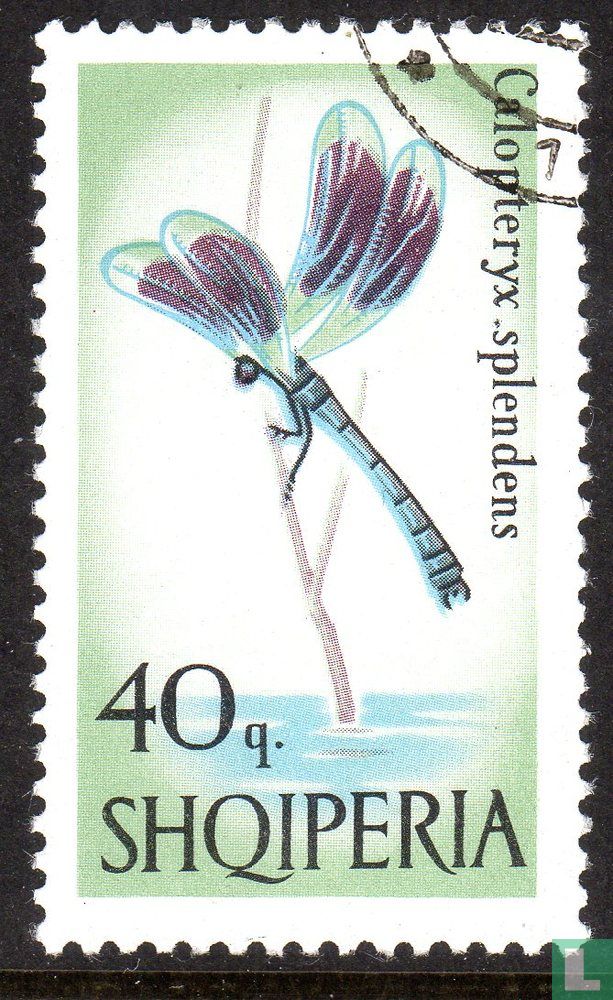 Vlinders