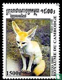 Renard