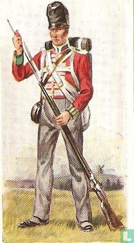 The 69th ( South Lincolnshire ) (1815) The Welch Regiment.