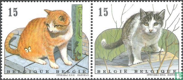 Katten