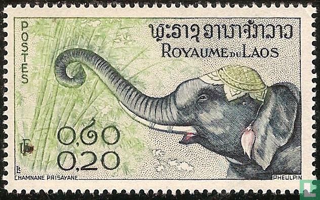 Elephants