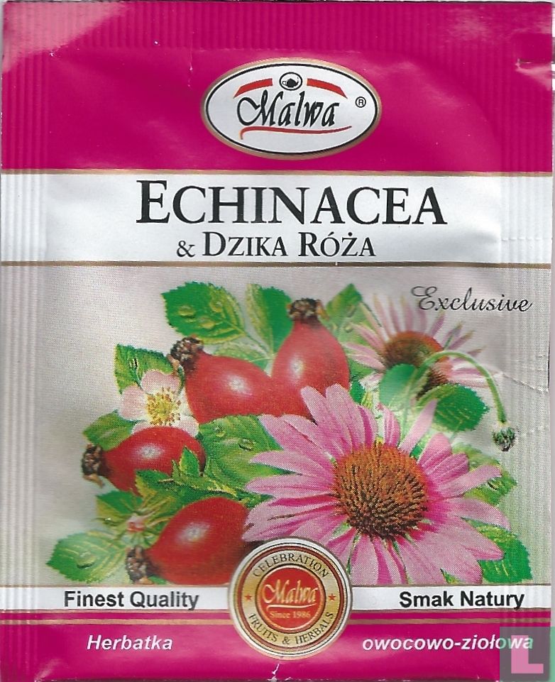 Echinacea & Dzika Roza