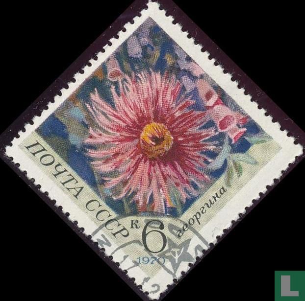 Gartenblumen