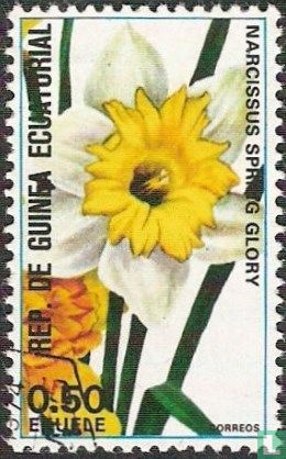 Fleurs
