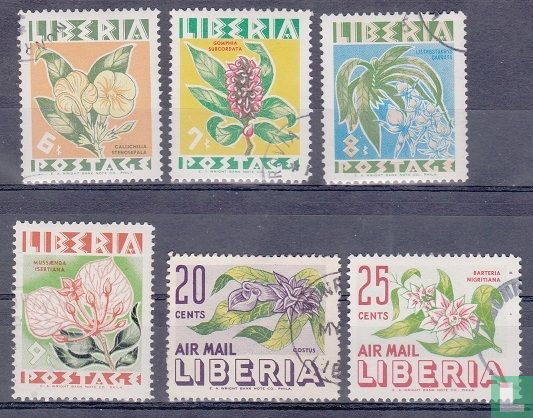 Fleurs 
