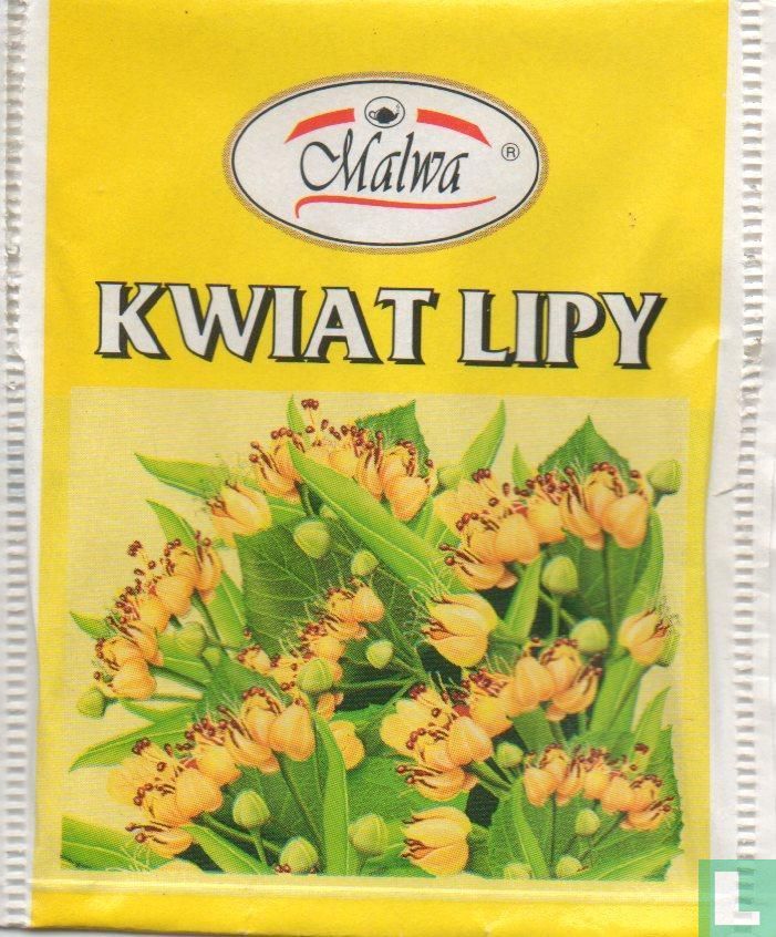 Kwiat Lipy