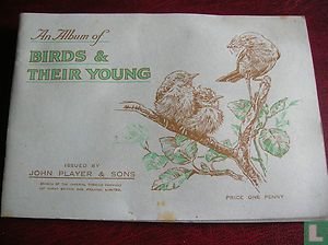 Birds & Their Young