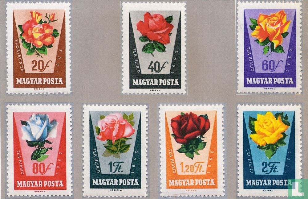 Roses