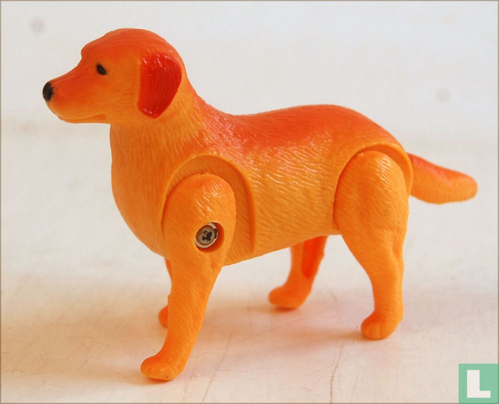 Pig