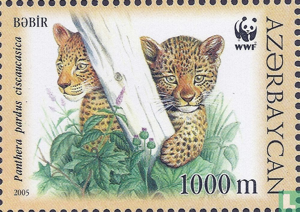 WWF-Caucasian Leopard